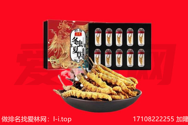 南漳县回收虫草.jpg